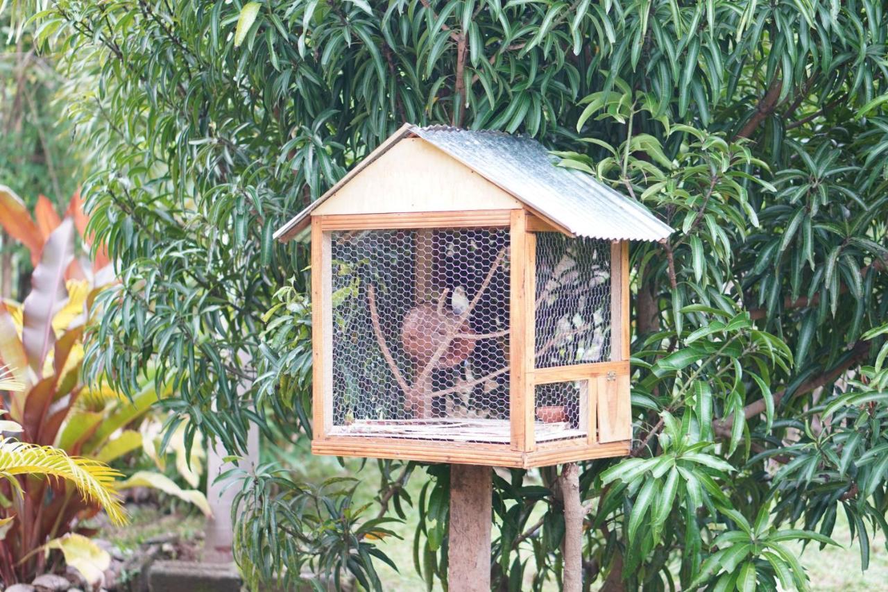Nature World Jungle Paradise Udawalawe Luaran gambar