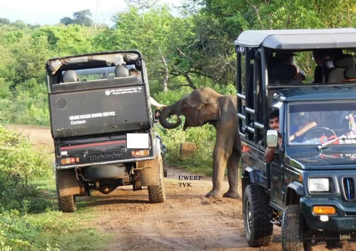 Nature World Jungle Paradise Udawalawe Luaran gambar
