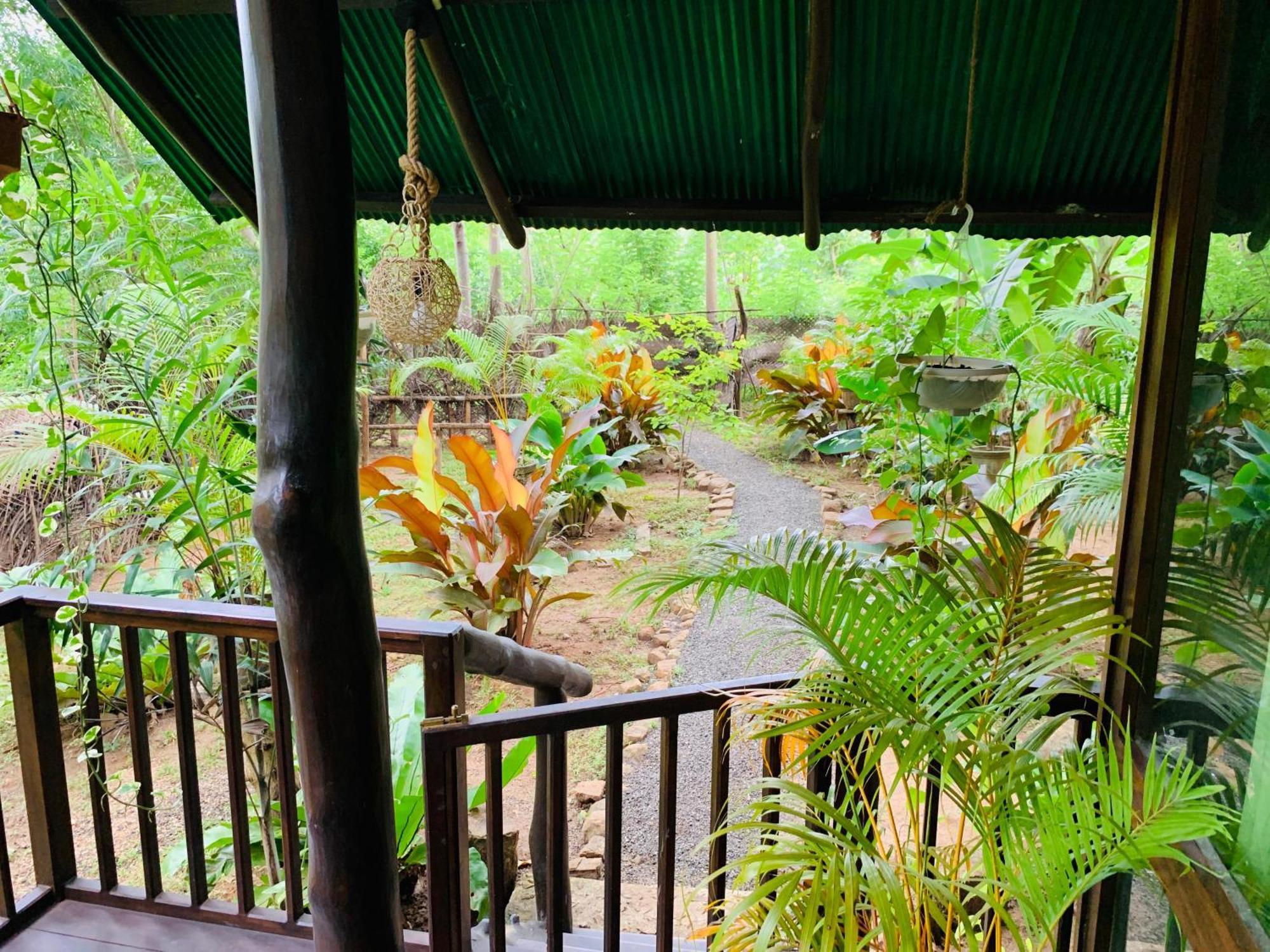 Nature World Jungle Paradise Udawalawe Bilik gambar