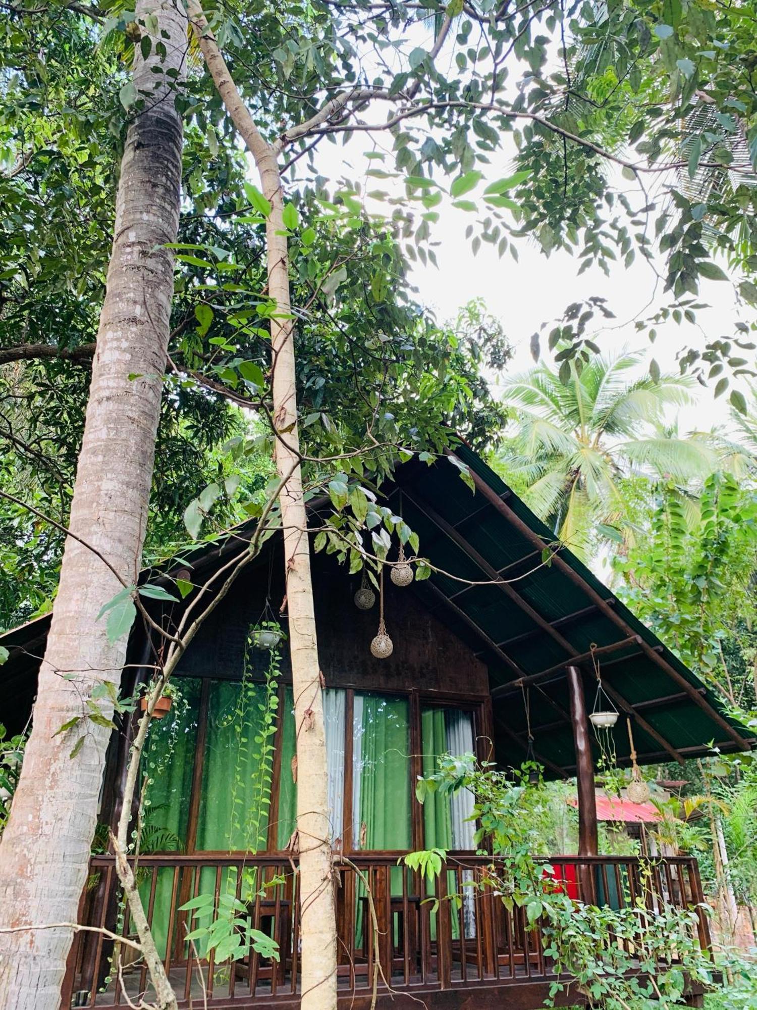 Nature World Jungle Paradise Udawalawe Bilik gambar